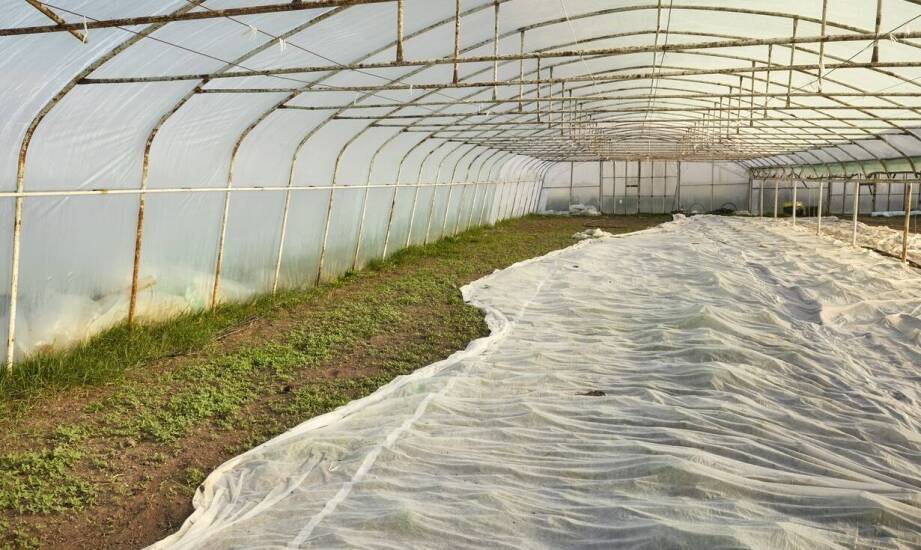 Rola folii ogrodniczych w zarządzaniu mikroklimatem w tunelach foliowych