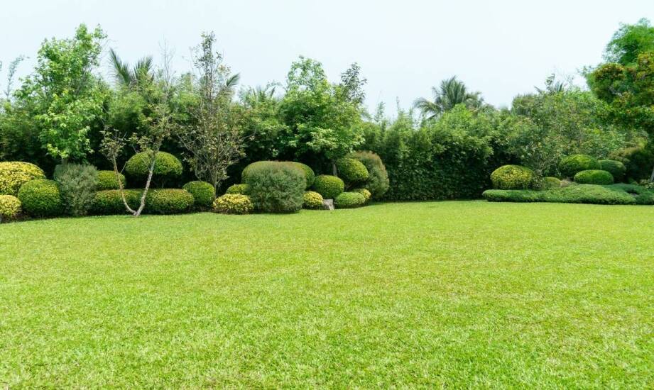 Jak trawnik z rolki wpływa na zwiększenie funkcjonalności ogrodu?