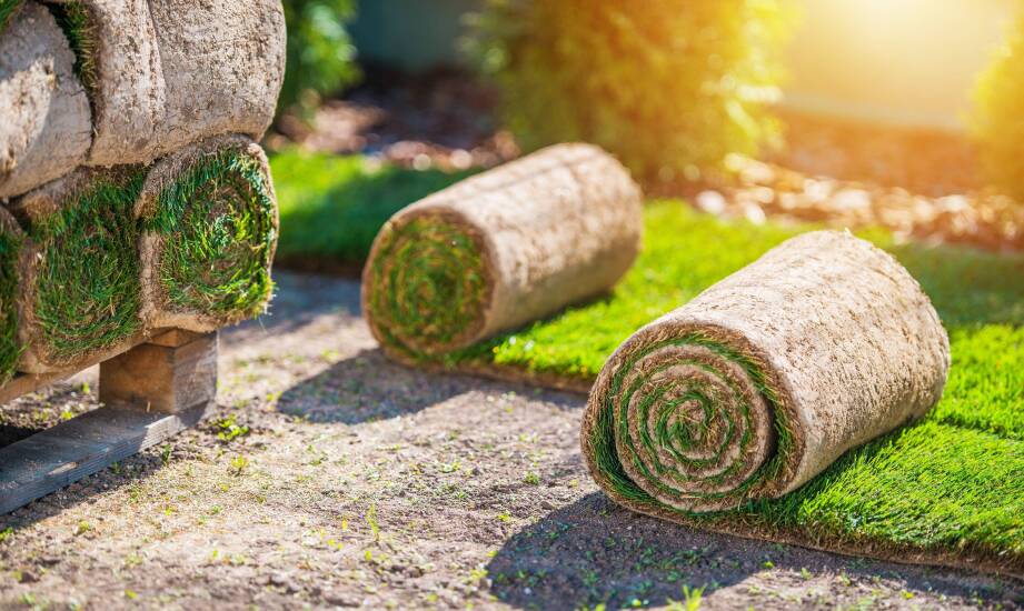 Kluczowe aspekty transportu trawy z rolki dla zachowania jej świeżości