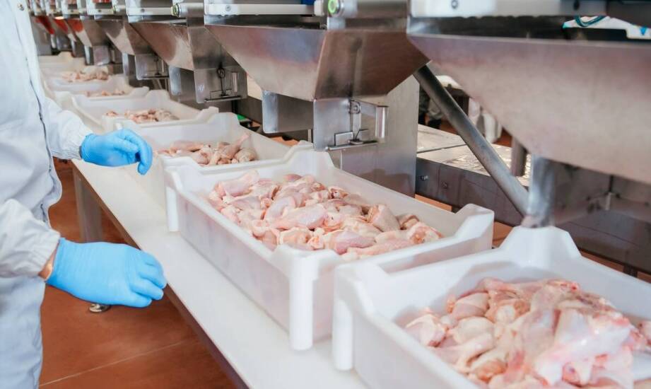 Jakie wymagania muszą spełniać zakłady przed rozpoczęciem audytu sanitarnego?