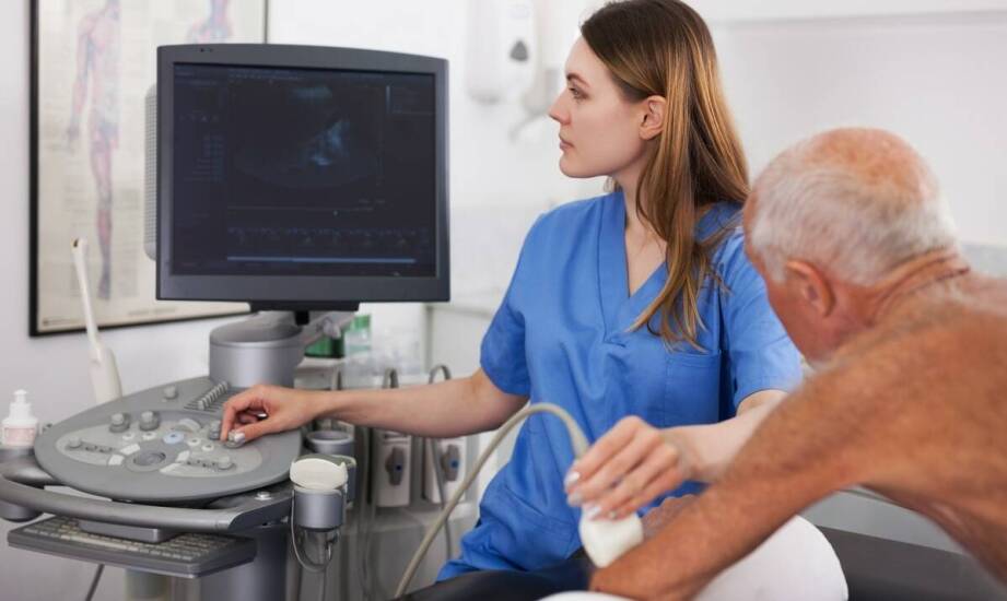 Jakie zastosowanie ma USG w diagnostyce chorób wewnętrznych u zwierząt?