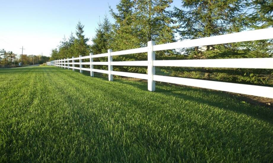 Wybór ogrodzenia panelowego dla posesji z dużymi przestrzeniami zielonymi