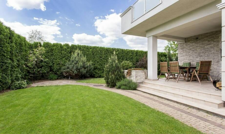 Wpływ profesjonalnych usług na długotrwałe utrzymanie pięknego ogrodu przydomowego