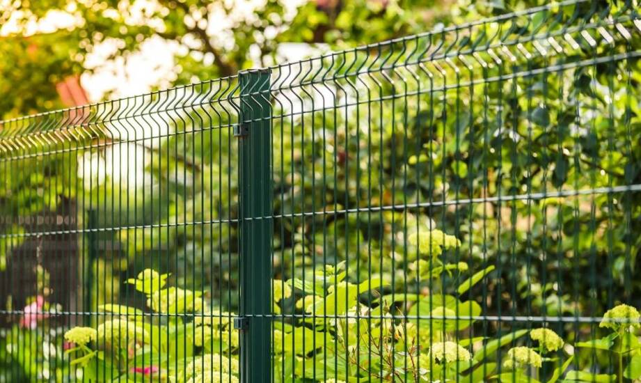 Przegląd dostępnych kolorów i wzorów ogrodzeń panelowych