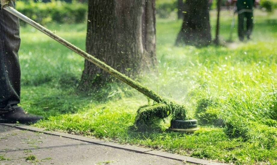 Dlaczego wybór odpowiedniej żyłki jest kluczowy dla wydajności Stihl FS 120?