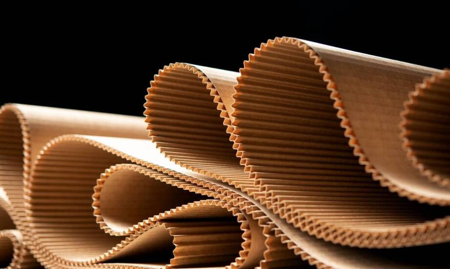 Wytrzymałość standów kartonowych – co wpływa na ich długowieczność?