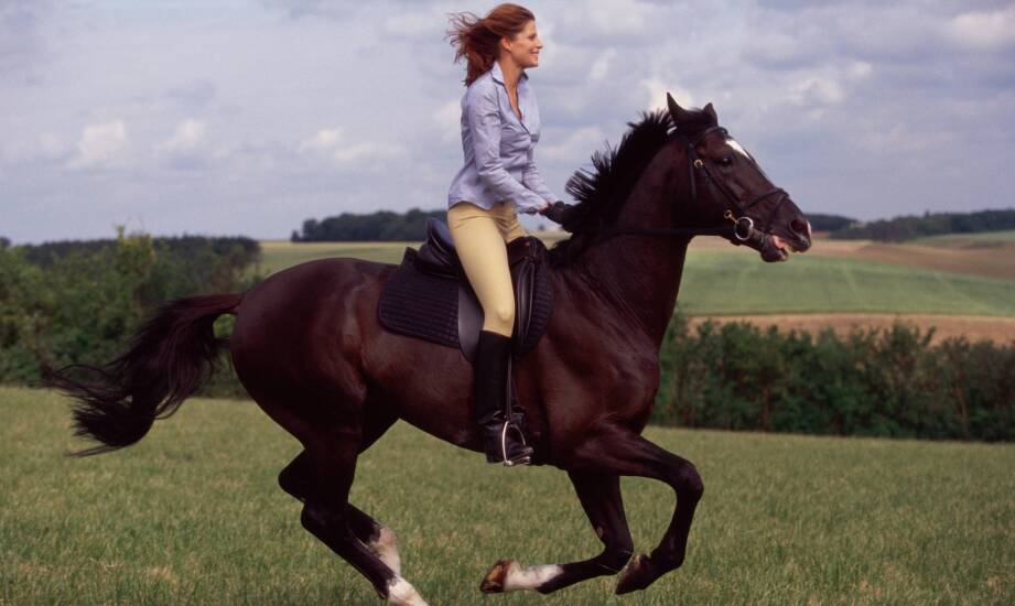 Warum sind Ecomaty auf Reitplätzen unverzichtbar?