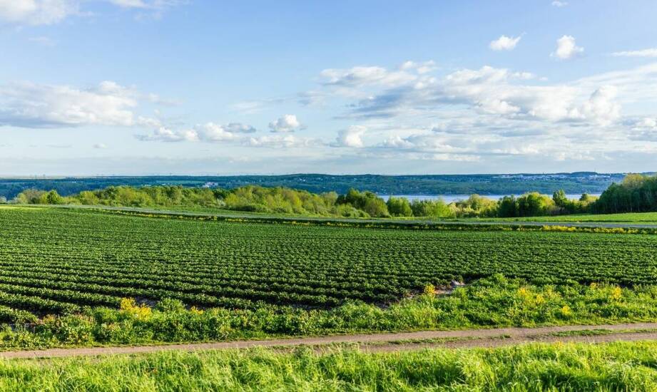 Efektywne zarządzanie zasobami wodnymi z pomocą nowoczesnych systemów nawadniania