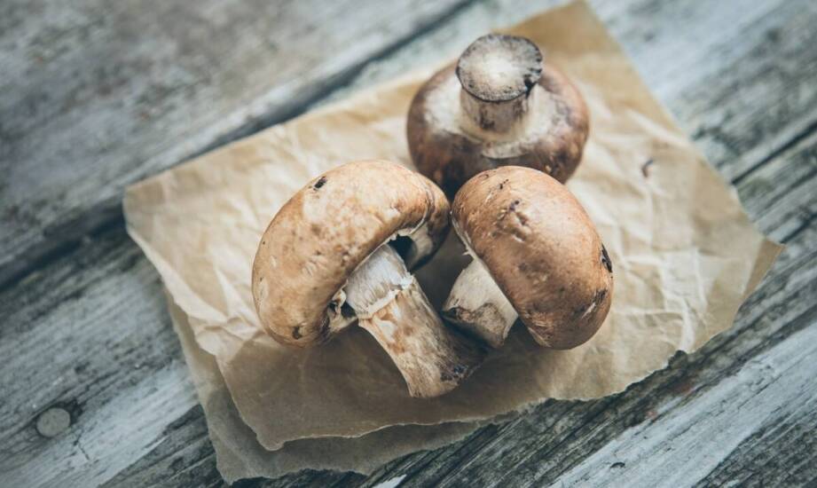 Marynowane duże pieczarki – idealny składnik potraw sezonowych