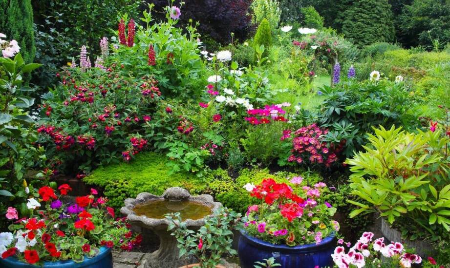 Najlepsze praktyki w utrzymaniu systemów nawadniających dla zdrowego ogrodu