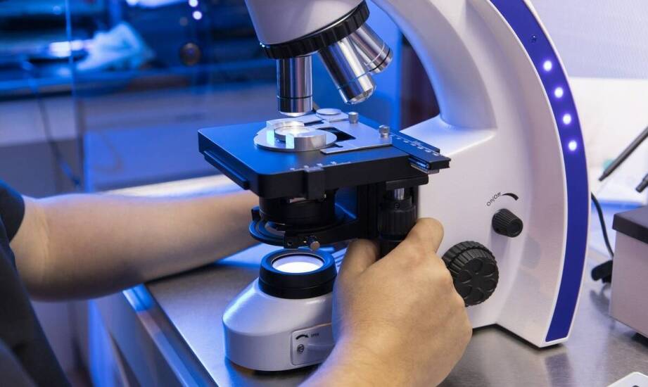 Dlaczego szybka identyfikacja chorób szczurów jest kluczowa dla skutecznej deratyzacji?