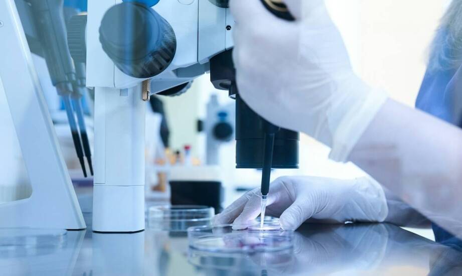 Medycyna regeneracyjna – jakie innowacje wprowadzają specjaliści?