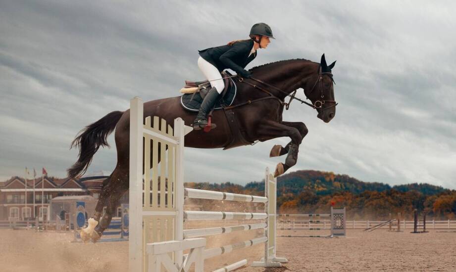 Jakie są zalety nowoczesnego designu w pakach jeździeckich?