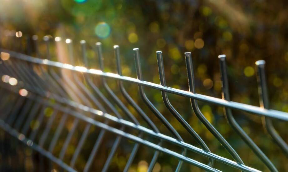 Skuteczne metody ochrony dachu przed zniszczeniami spowodowanymi przez kuny