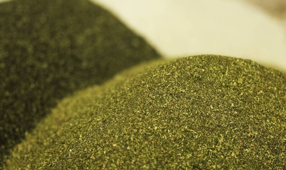 Kluczowe składniki naturalnych pasz dla koni i ich znaczenie dla zdrowia zwierząt