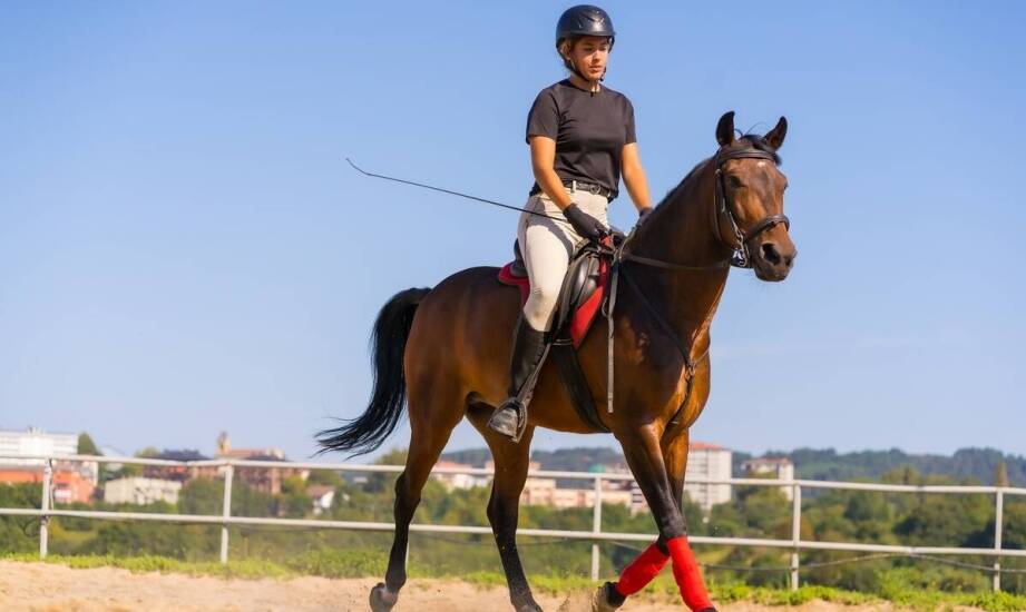 Bluza jeździecka a komfort podczas jazdy - co warto wiedzieć?