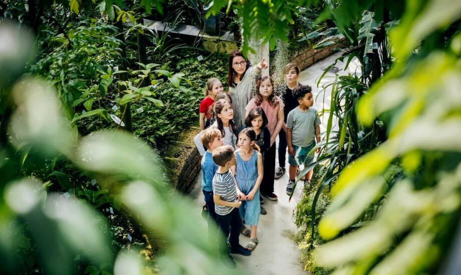 Organizacja zajęć edukacyjnych na trasie wycieczki szkolnej Biskupin – Gniezno
