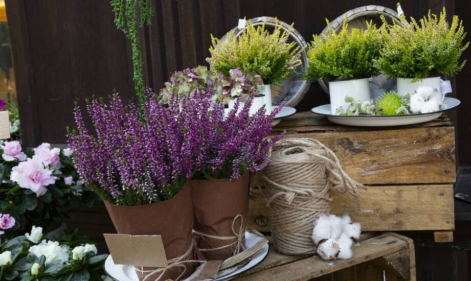 Wykorzystanie kubków z nadrukiem w kampaniach outdoorowych – praktyczne porady