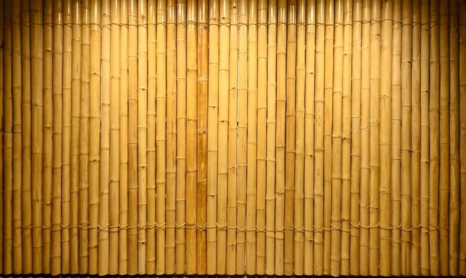 Różnorodność zastosowań plotu lamelowego 200 w aranżacji przestrzeni