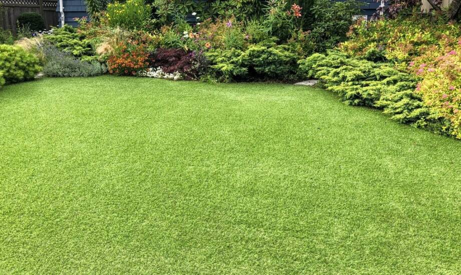 Jakie są najczęstsze błędy przy wyborze drzewek owocowych do ogrodu?