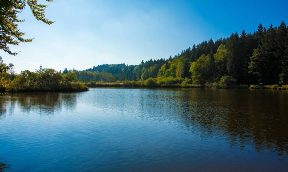 Wpływ przeróbki szamba na lokalny ekosystem – co warto wiedzieć?