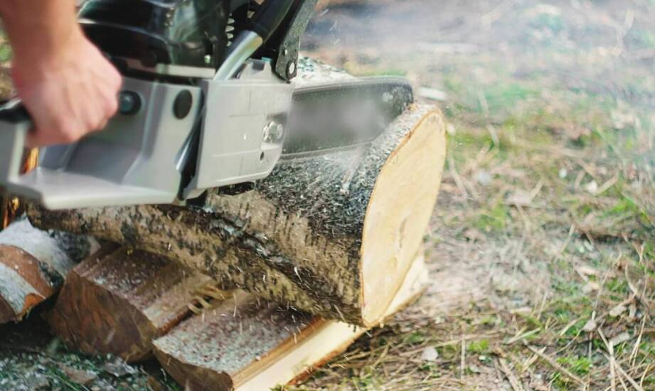 Przegląd najnowszych technologii zastosowanych w pilarce rema dmxa