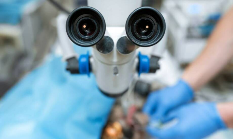 Znaczenie mikroskopu w minimalizowaniu błędów podczas leczenia kanałowego