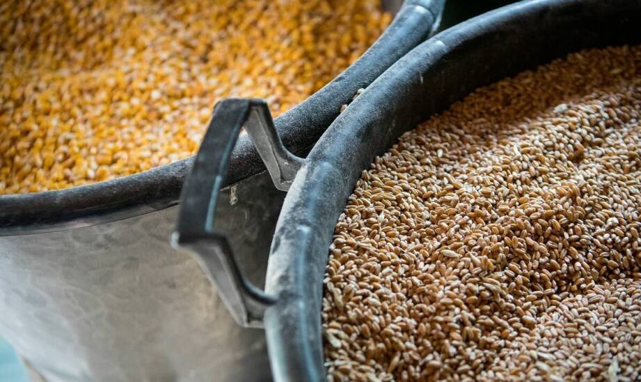 Innowacyjne materiały stosowane w produkcji żłobów dla bydła