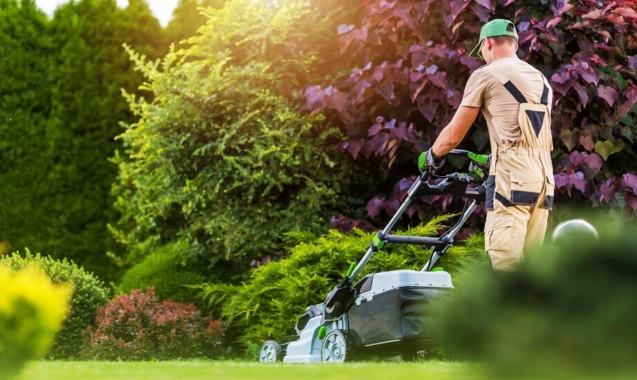 Kompleksowa pielęgnacja ogrodów z "firma ogrodnicza tychy" – co obejmuje oferta?