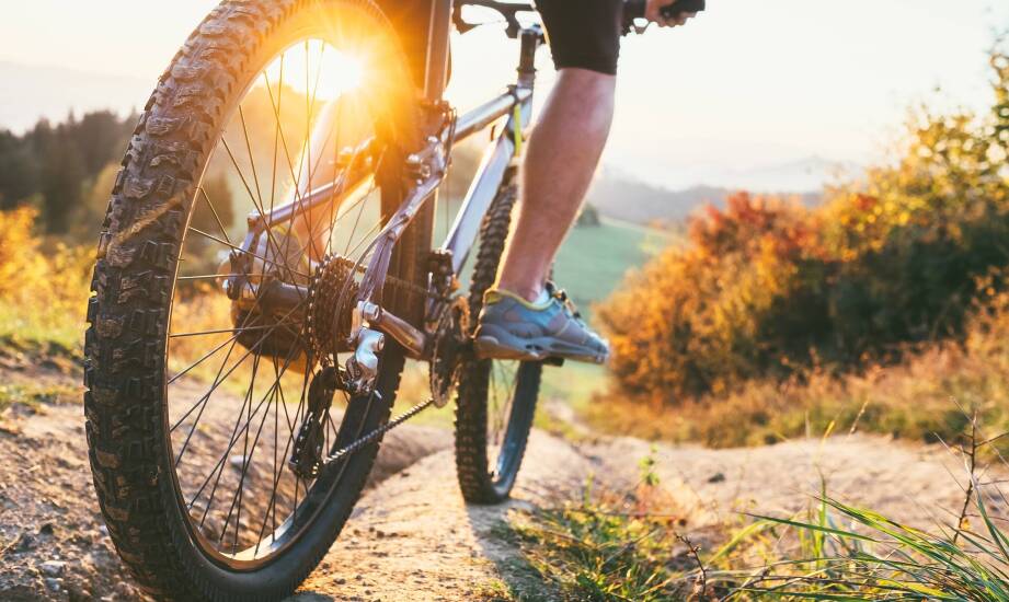 Różnorodność rozmiarów kół w rowerach górskich - co warto wiedzieć?