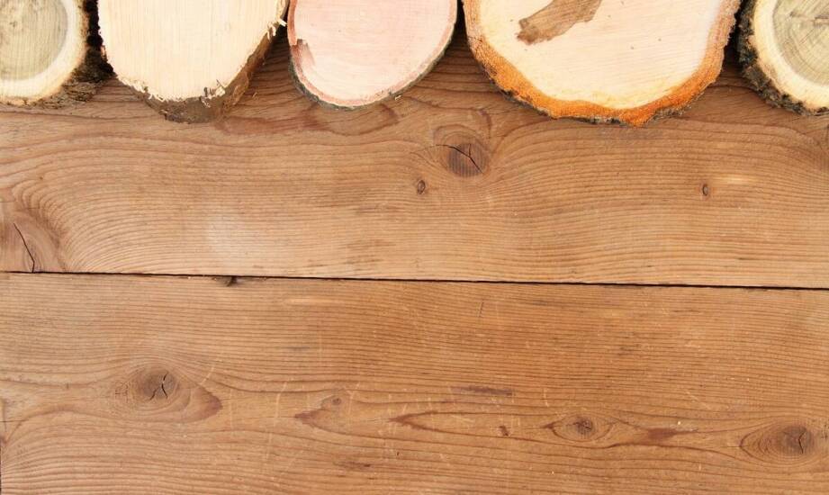 Cennik frezowania pni w kontekście zrównoważonego zarządzania zielenią