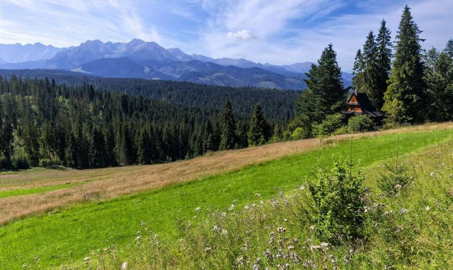 Jak zorganizować wyjazd do Austrii, by był inspirujący i edukacyjny?