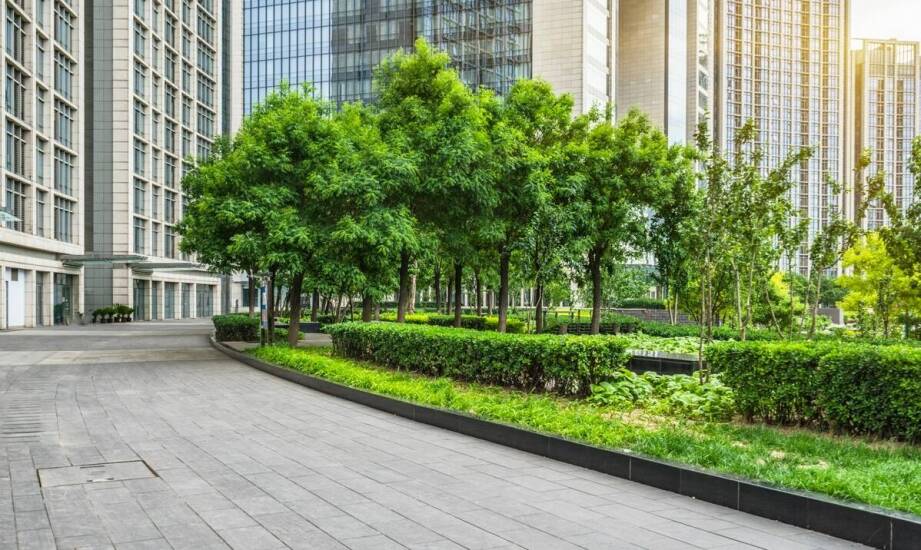 Fontanny jako element rewitalizacji przestrzeni miejskiej – przykłady zastosowań