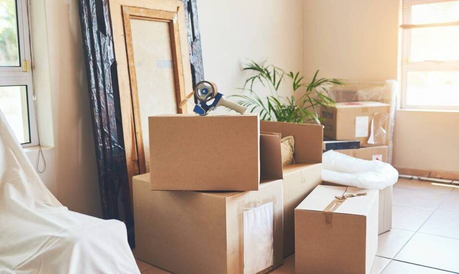 Torby przeprowadzkowe – klucz do sprawnej organizacji przeprowadzki