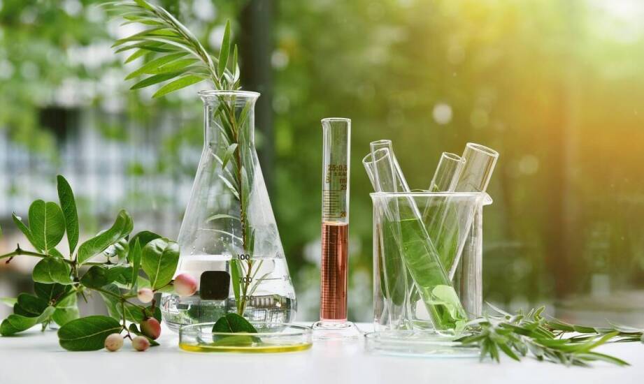 Wpływ witaminy B17 na proces regeneracji po leczeniu onkologicznym