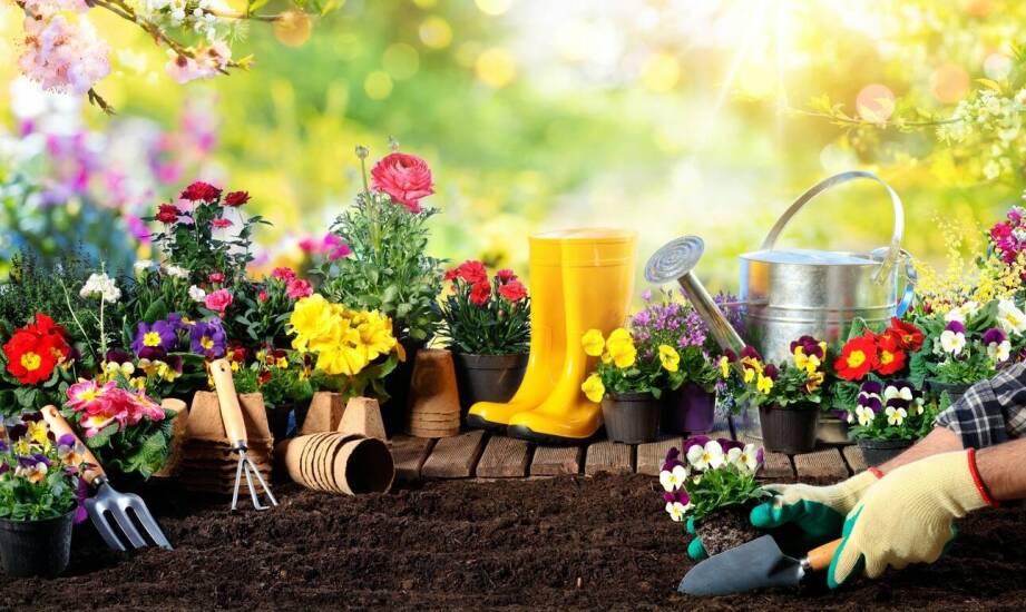 Jakie są praktyczne zastosowania przelicznika jardów na metry w projektach ogrodniczych?