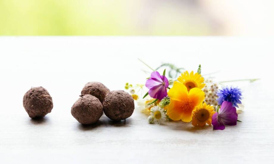 Jak tworzymy unikalne kompozycje smaków w naszych czekoladkach?