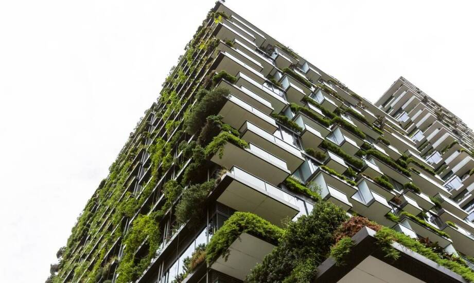 Różnorodność roślin w ścianach zieleni – jakie gatunki wybrać?