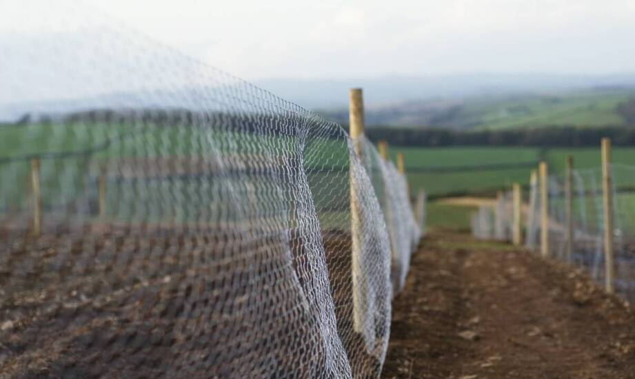 Zastosowanie sit żaluzjowych w różnych rodzajach upraw