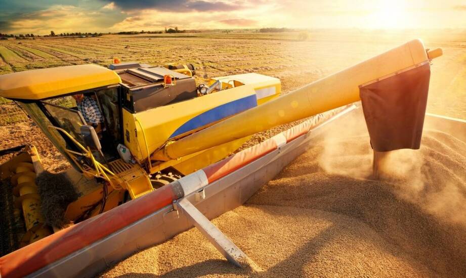 Wpływ nowoczesnych wozów paszowych na dobrostan zwierząt