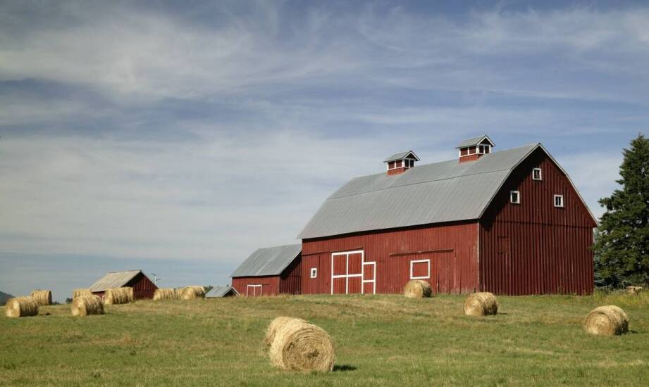 Wpływ suszarni do kukurydzy na słomę na efektywność energetyczną gospodarstw rolnych