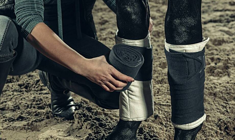 Komfort użytkowania podkolanówek jeździeckich – na co zwrócić uwagę?