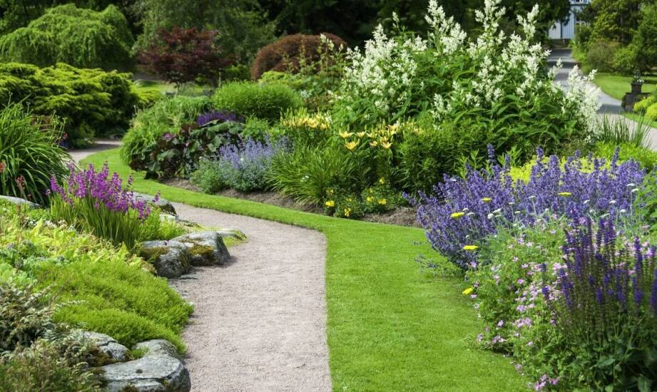 Jak wybrać najlepsze krzewy kwitnące wieloletnie dla swojego ogrodu?