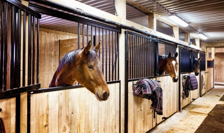 Mobilność i wszechstronność stalowych ujeżdżalni dla koni