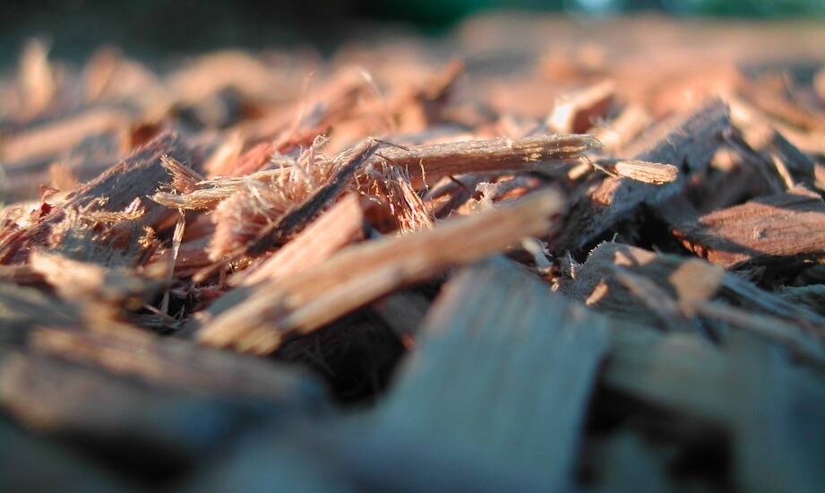 Dlaczego warto wybrać zrębkę iglastą jako ekologiczny surowiec?