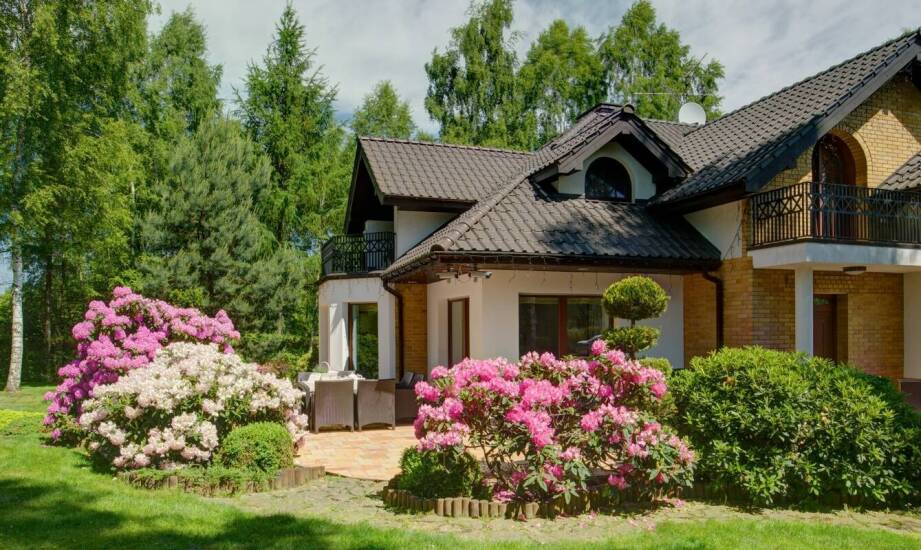 Komfortowe domki do wynajęcia w Łagowie Lubuskim - przegląd oferty