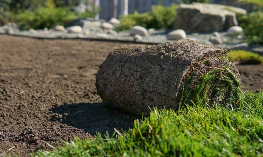 Trawniki rolowane jako rozwiązanie dla deweloperów