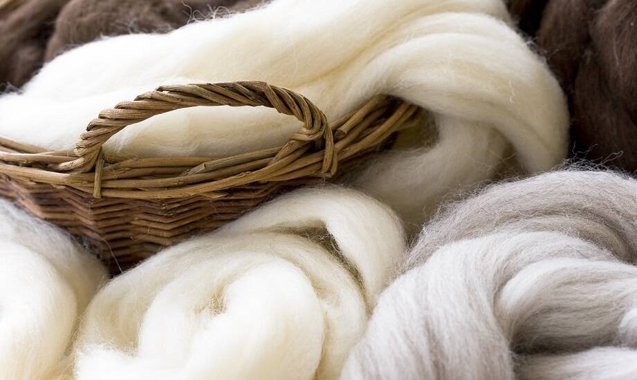 Porównanie popularnych typów włókien w ofercie