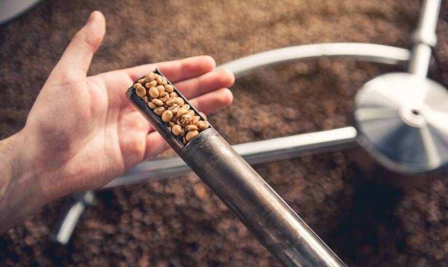 Zielona kawa i jej wpływ na zdrowie: co nauka mówi?