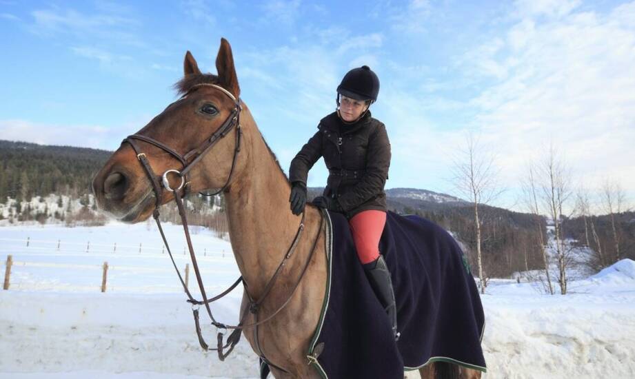 Pierwsza jazda na koniu – jak unikać kontuzji i urazów?